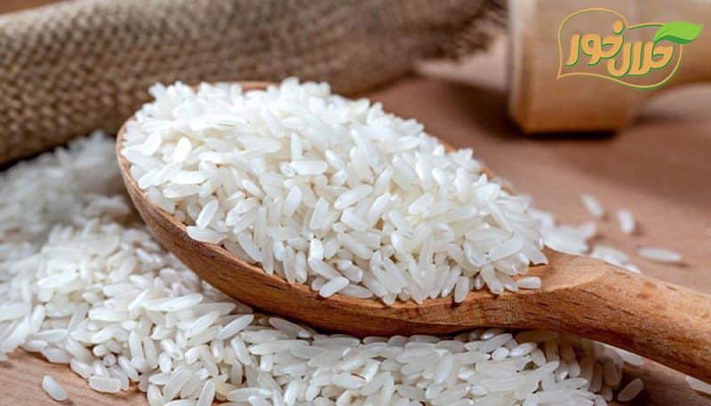 فروشگاه برنج ارزان