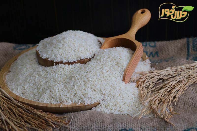خرید برنج کشت دوم ارزان