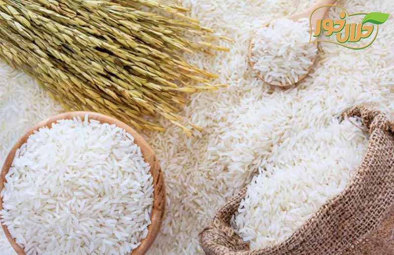 بهترین فروشگاه برنج کجاست؟