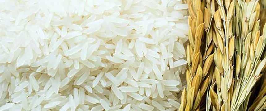 تجربه ای خوش از خرید برنج عمده را پشت سر بگذارید.