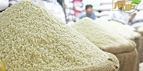 خرید عمده برنج با قیمت استثنایی و به صورت مستقیم