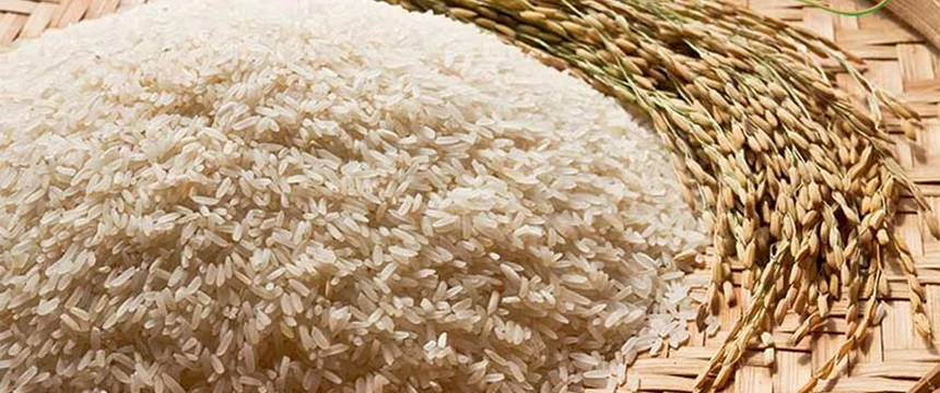 تامین برنج از کارخانه، کمتر از قیمت بازار