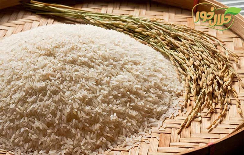 تامین برنج از کارخانه، کمتر از قیمت بازار