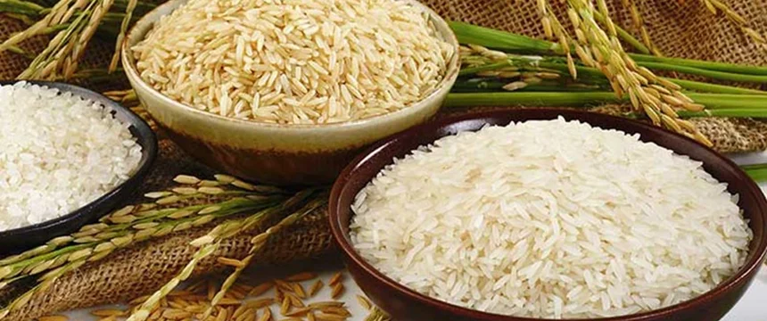 خرید برنج رستوران با ارزانترین قیمت