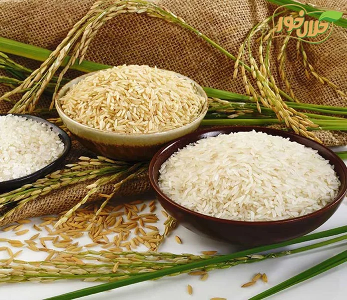 خرید برنج رستوران با ارزانترین قیمت